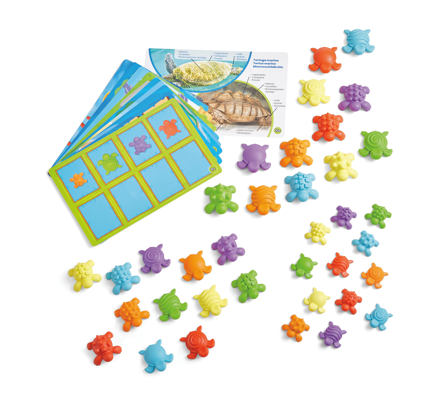 Tactile Turtles Maths Activity Set